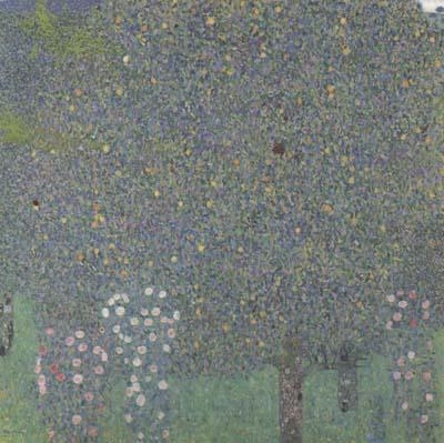 Gustav Klimt Rose Bushes Under the Trees (mk20) Norge oil painting art